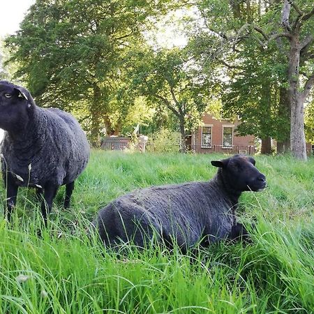 'T Pekelhuis - Vakantiehuisje Op Boerderij Huize Blokland Hem Exteriör bild