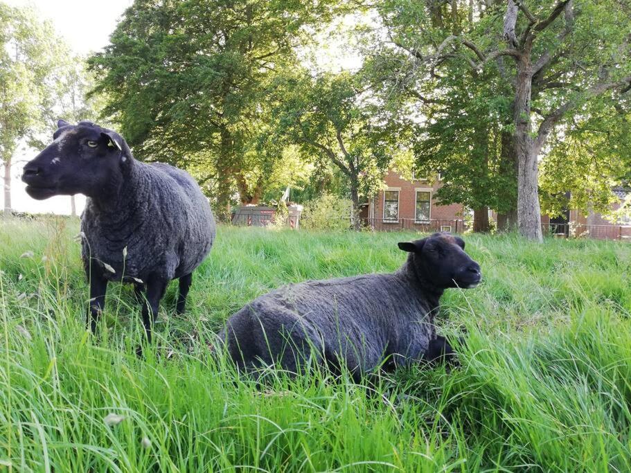 'T Pekelhuis - Vakantiehuisje Op Boerderij Huize Blokland Hem Exteriör bild
